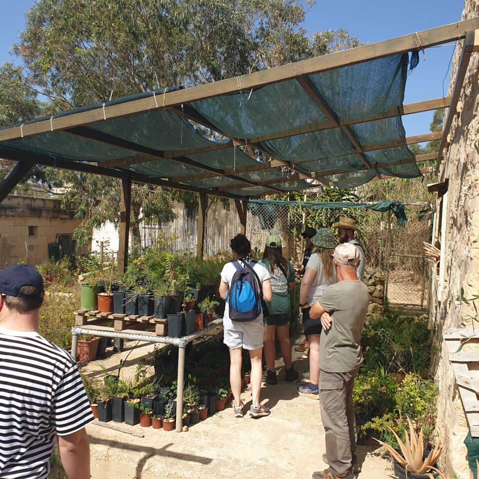 another view of the plant nursery, shaded from the sun with a canopy