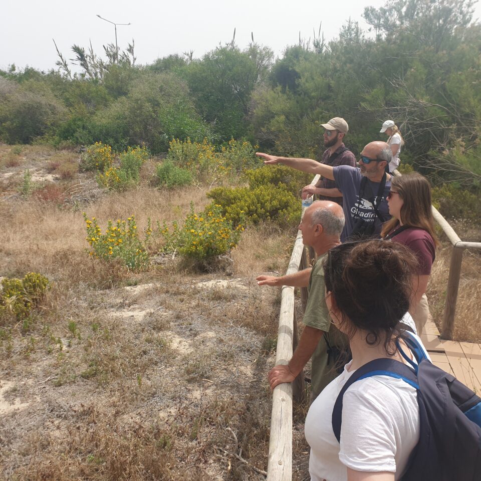 a group of rangers looking at the arid landscape in Malta, from a raised wooden walkway