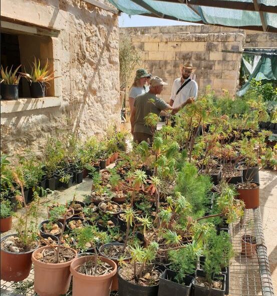 a plant nursery with a large variety of plants in pots, being propagated or ready to plant. There are 3 people in the background discussing the plants