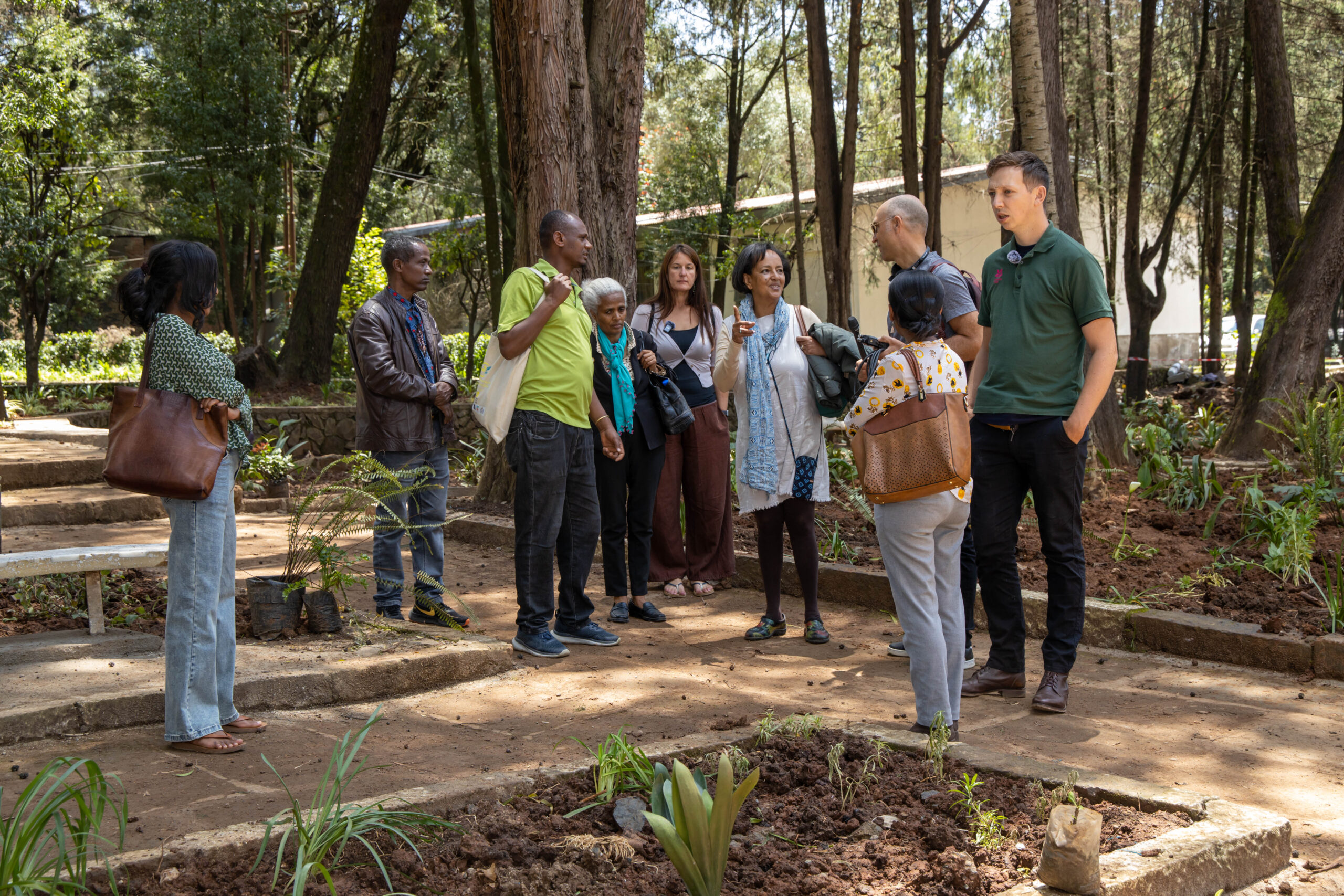 a group of people in a shady garden with dappled sunlight coming through the trees