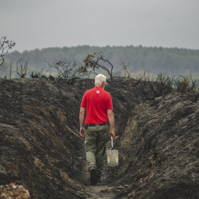 an image of a man in a red shirt with his back to the viewer, walking through a landscape blackened by wildfire